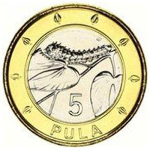 5 Pula Botswana 2013
Click to view the picture detail.