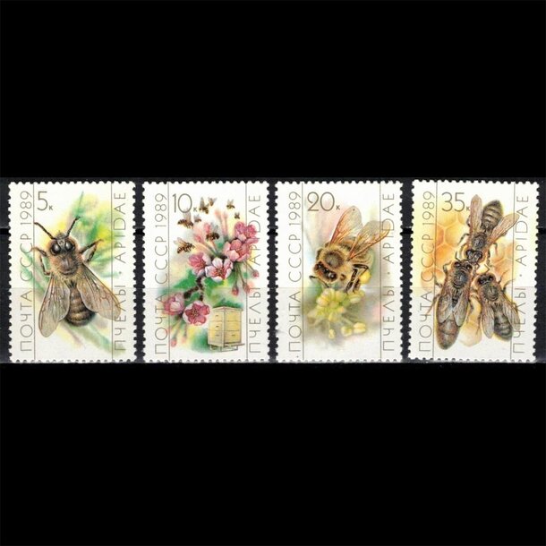 Séria známok zssr 1989 - včely - znamky-ZSSR-5950