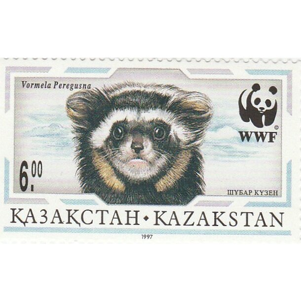 Lot fdc kazachstan 1997 - tchor škvrnitý - set-fdc-kazachstan-1997-2