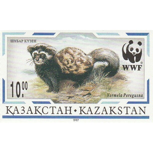 Lot fdc kazachstan 1997 - tchor škvrnitý - set-fdc-kazachstan-1997-3