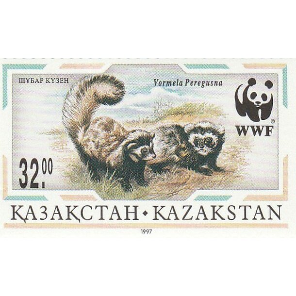 Lot fdc kazachstan 1997 - tchor škvrnitý - set-fdc-kazachstan-1997-4