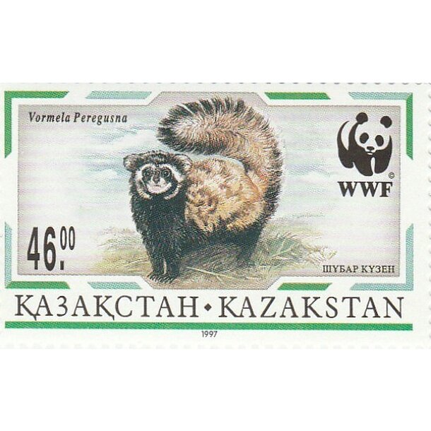 Lot fdc kazachstan 1997 - tchor škvrnitý - set-fdc-kazachstan-1997-5