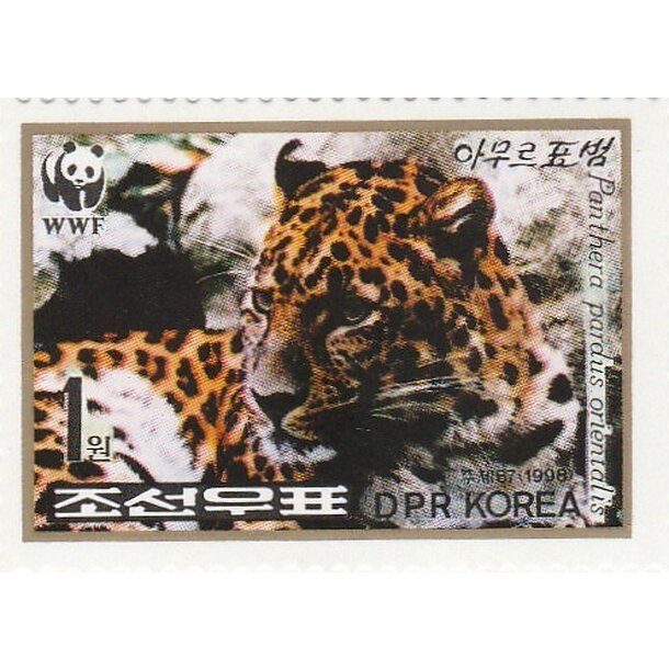 Lot fdc severná kórea 1998 - leopard amurský - set-fdc-korea-1998-2