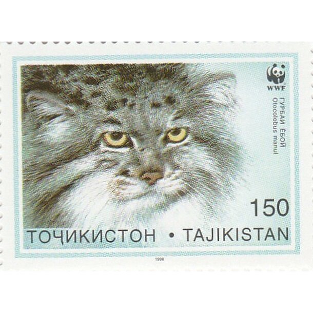 Lot fdc tadžikistan 1996 - manul - set-fdc-tadžikistan-1996-5