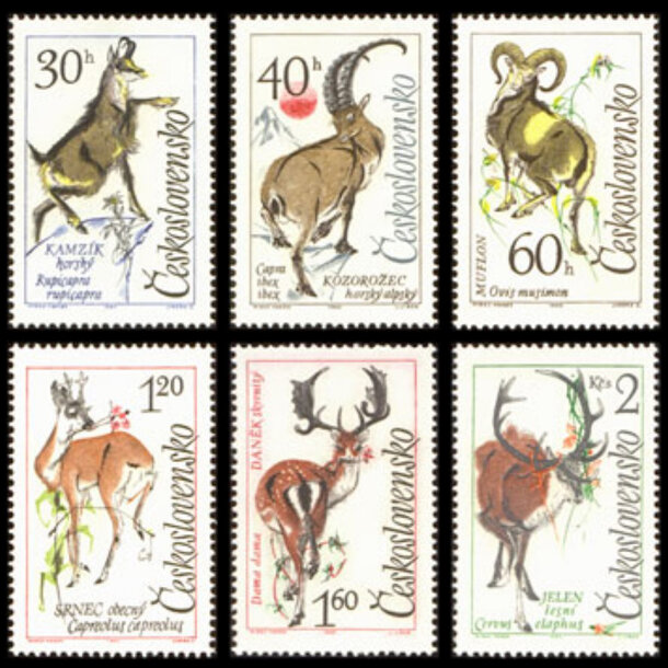 Séria známok československo 1963 - lesná zver - znamky-1963-1441-46