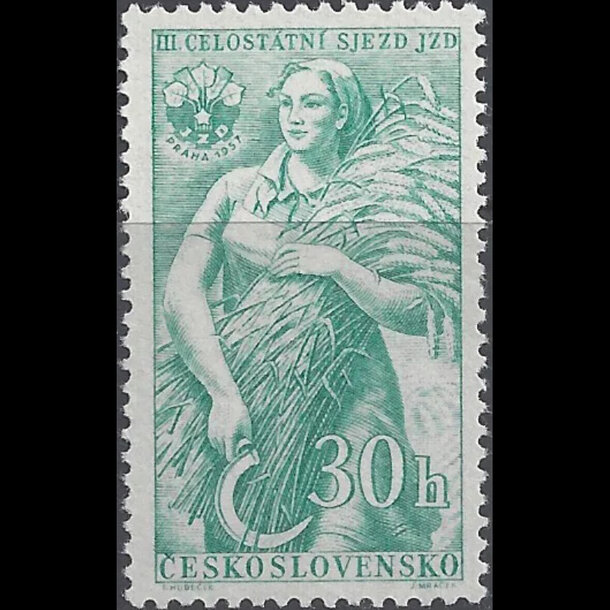 Známka československo 1957 - zjazd jrd - znamky-1957-1008