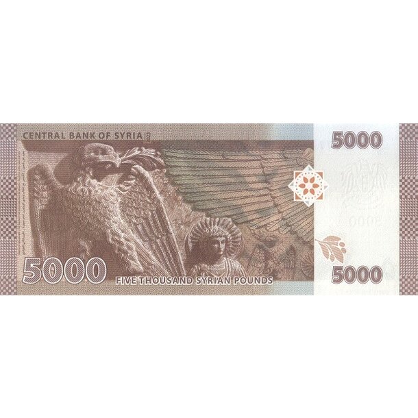 5000 pounds 2023 sýria - Bankovka Sýria 5000 Pounds 2023 - 118-2