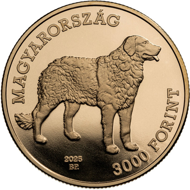 3000 forint maďarsko 2025 - kuvasz - Kuvasz-av