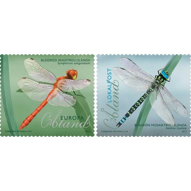 alandy5205
