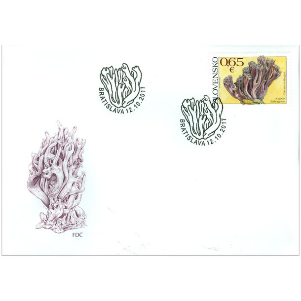 fdc-kyjacik