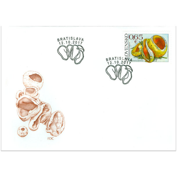 fdc-poharovka-ohniva
