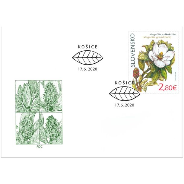 fdc-magnolia