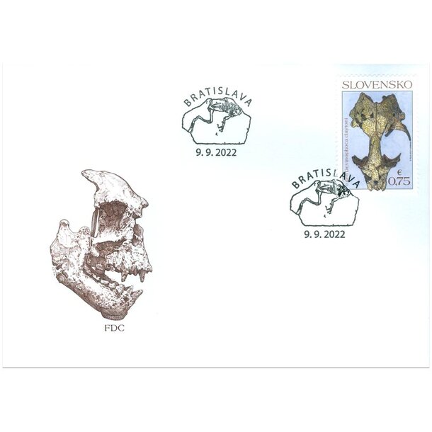 fdc-delfin