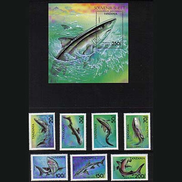 _vyr_721zraloky-tanzania-1993