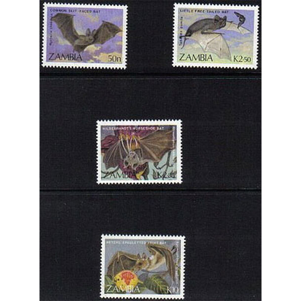 Zambia_netopiere_400