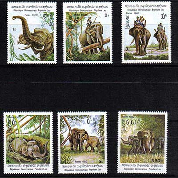 _vyr_901laos-slony-1982