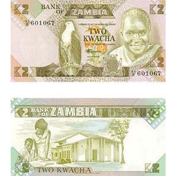 ZAMB24