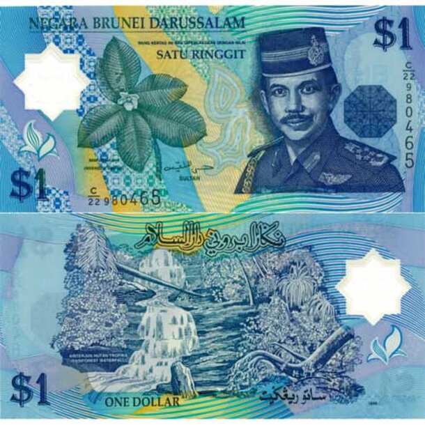 brunei-1996-1-dollar-p22a-u