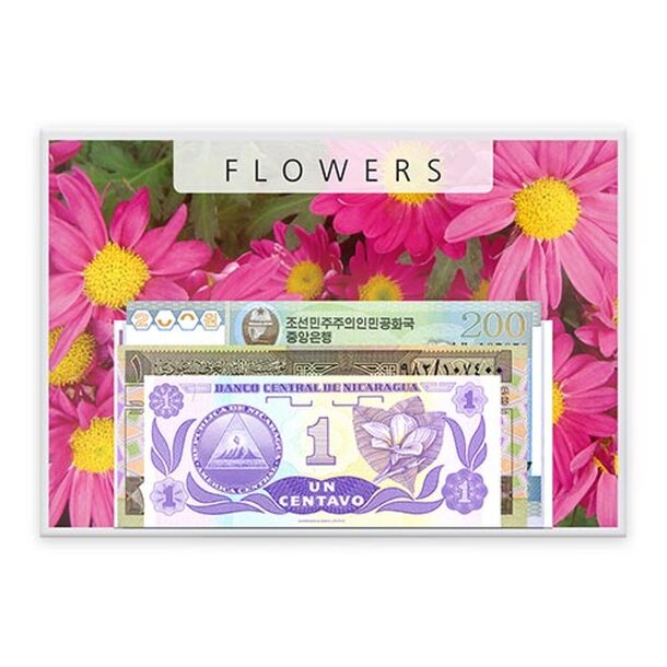 flowers_i_25568