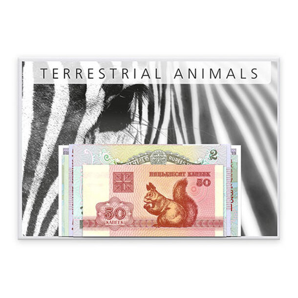 animals_25573
