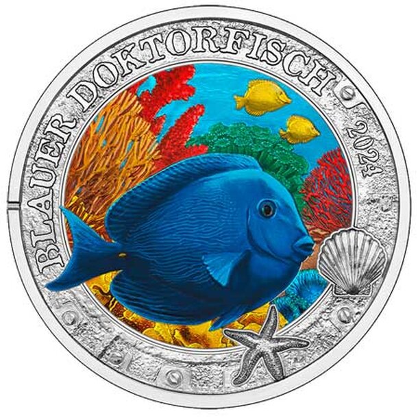 3euro-bodlok-1