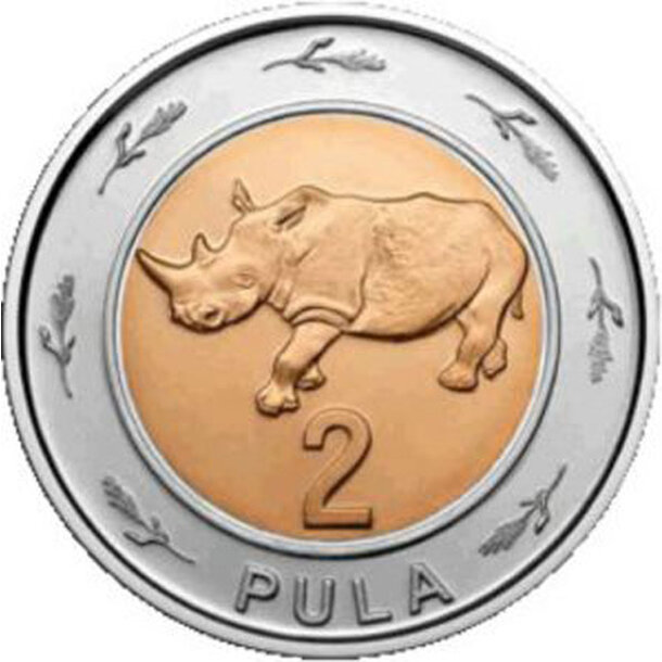 2-pula-botswana-2013-1