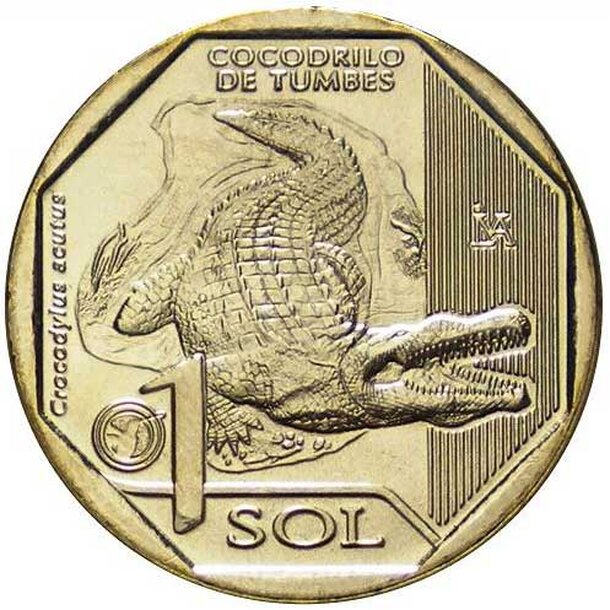 1-sol-peru-crocodile