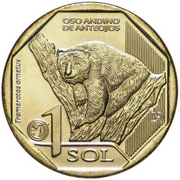 1-sol-peru-bear