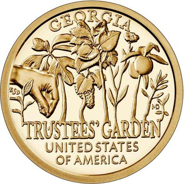 1-dollar---georgia--2019