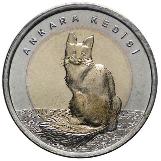 turecko-1-lira-macka-1