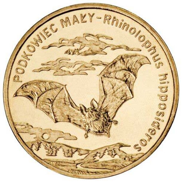 2-zloty-netopier
