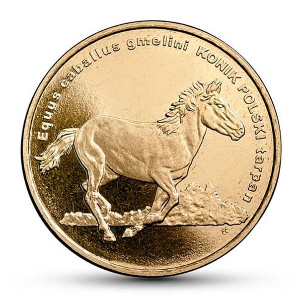 2014_02___konik_2zl_r