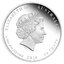 50 cents austrália 2014 - rok koňa - 50 Cents Austrália 2014 - Rok Kona-2