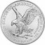 1 dollar usa 2024 - posledná večera (kolorovaná) - 2024-1oz-silver-eagle-rev_1_4