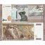 syria-5000-pounds-2019