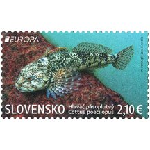 Známka Slovensko 2024 - Hlaváč pásoplutvý