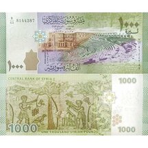 1000 Pounds 2013 Sýria