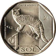 1 Sol Peru 2019 - Andská mačka