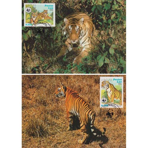 Carte maximum Laos 1984 - Tiger