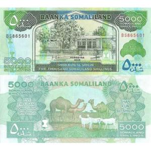5000 Shillings 2015 Somálsko
Click to view the picture detail.